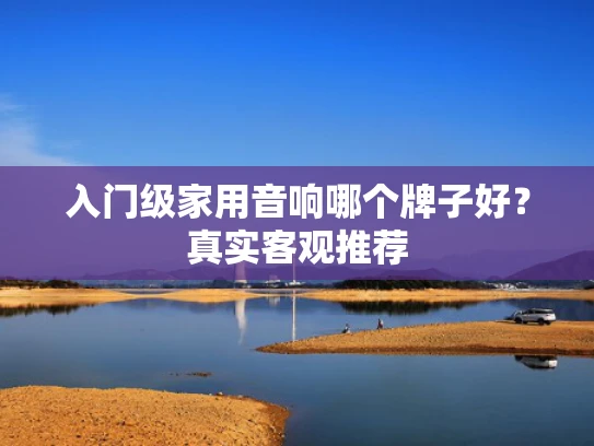 入门级家用音响哪个牌子好？真实客观推荐