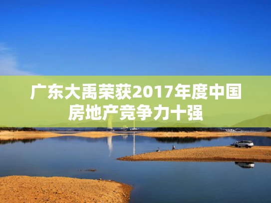 广东大禹荣获2017年度中国房地产竞争力十强