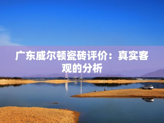 广东威尔顿瓷砖评价：真实客观的分析