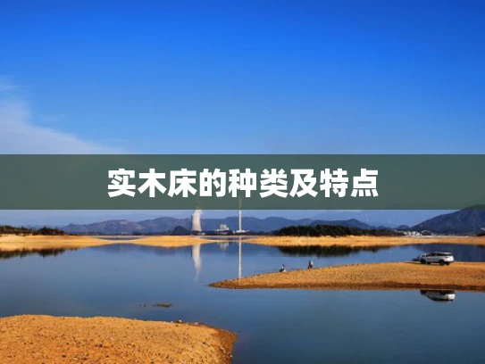 实木床的种类及特点
