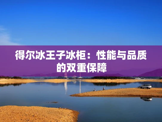 得尔冰王子冰柜：性能与品质的双重保障
