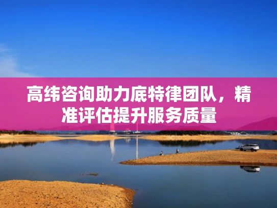高纬咨询助力底特律团队，精准评估提升服务质量