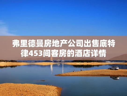 弗里德曼房地产公司出售底特律453间客房的酒店详情