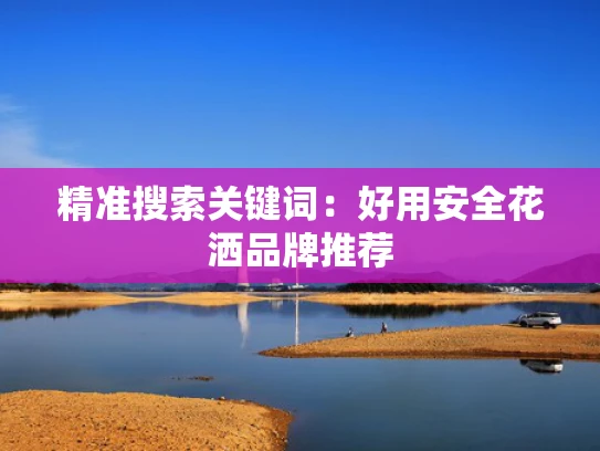 精准搜索关键词：好用安全花洒品牌推荐