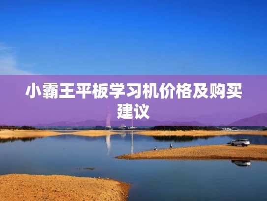 小霸王平板学习机价格及购买建议