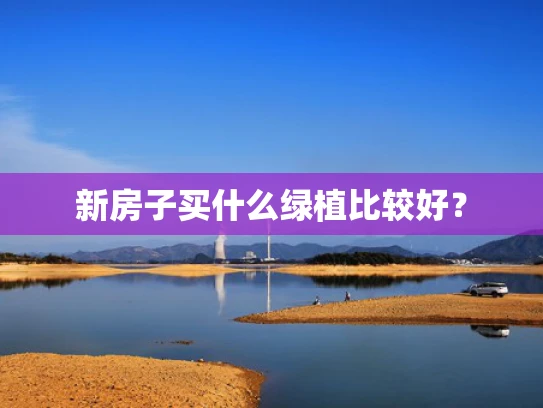 新房子买什么绿植比较好？