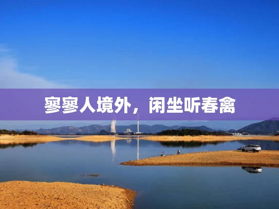 寥寥人境外，闲坐听春禽