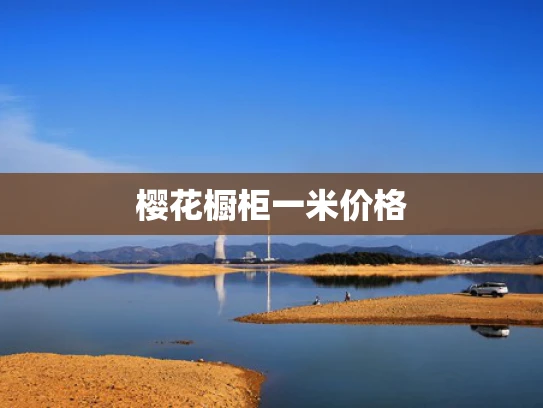 樱花橱柜一米价格