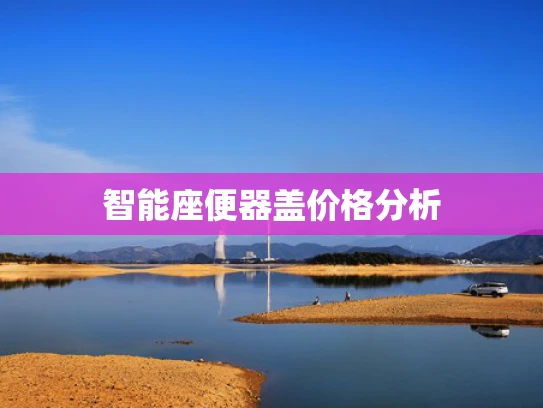 智能座便器盖价格分析