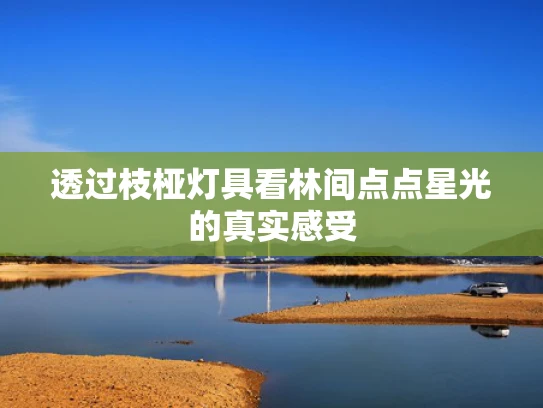 透过枝桠灯具看林间点点星光的真实感受
