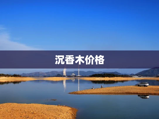 沉香木价格