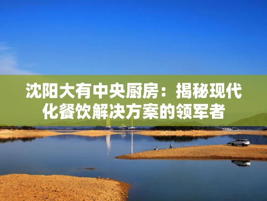 沈阳大有中央厨房：揭秘现代化餐饮解决方案的领军者