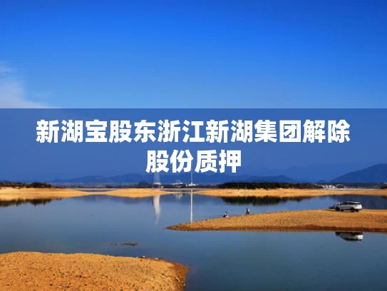 新湖宝股东浙江新湖集团解除股份质押