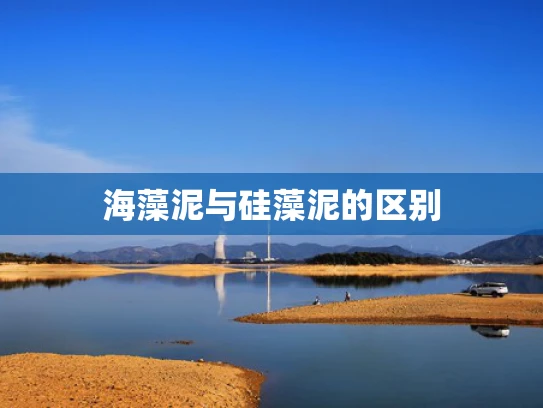 海藻泥与硅藻泥的区别