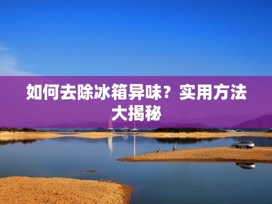 如何去除冰箱异味？实用方法大揭秘