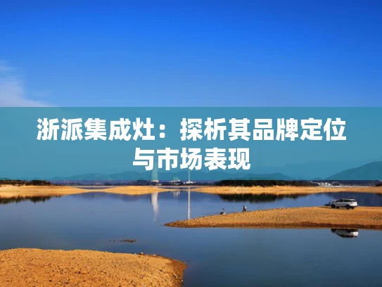 浙派集成灶：探析其品牌定位与市场表现