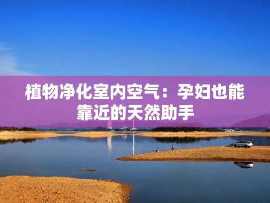 植物净化室内空气：孕妇也能靠近的天然助手