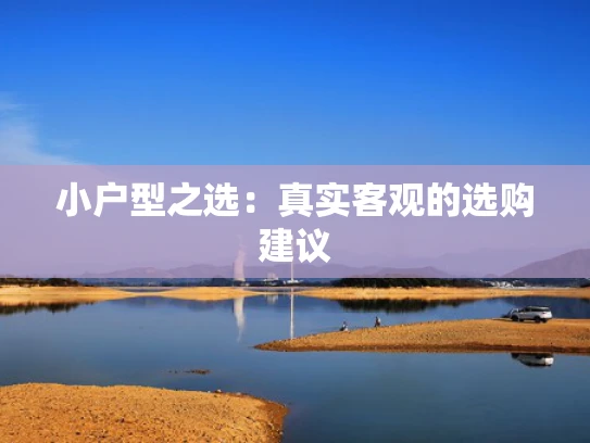 小户型之选：真实客观的选购建议