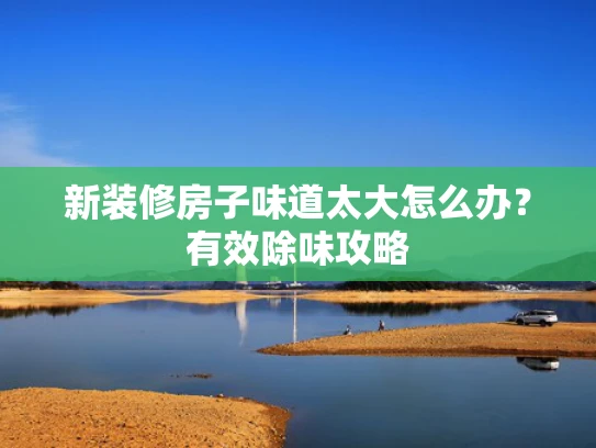 新装修房子味道太大怎么办？有效除味攻略