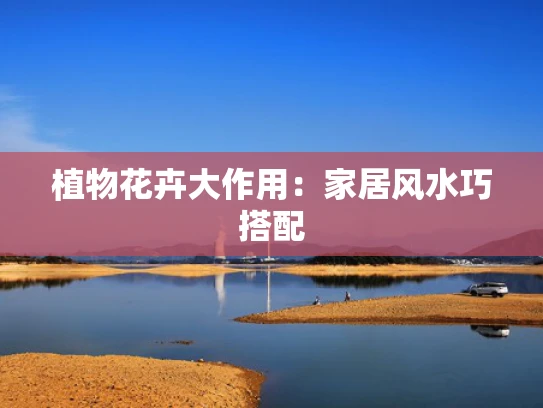 植物花卉大作用：家居风水巧搭配