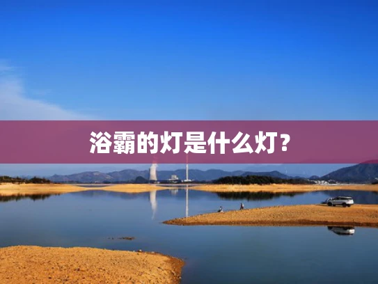 浴霸的灯是什么灯？