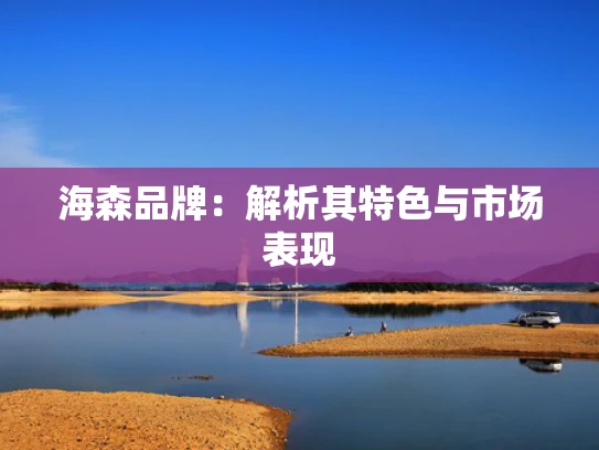 海森品牌：解析其特色与市场表现