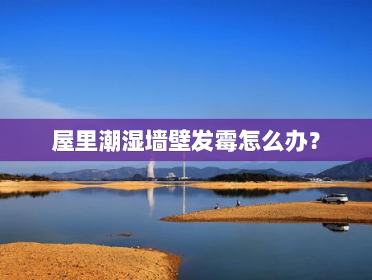 屋里潮湿墙壁发霉怎么办？