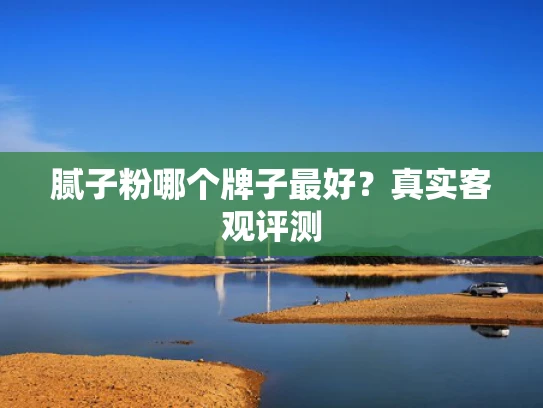 腻子粉哪个牌子最好？真实客观评测