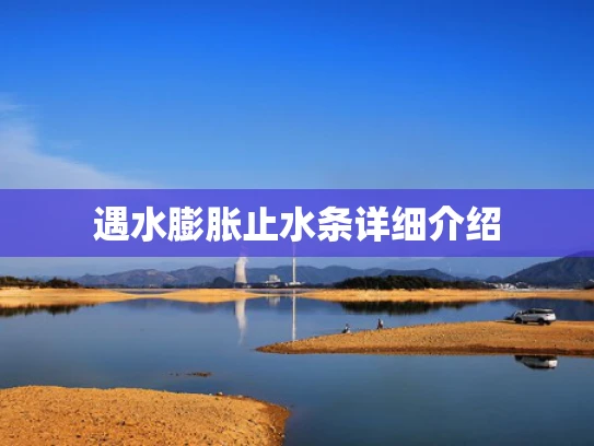 遇水膨胀止水条详细介绍