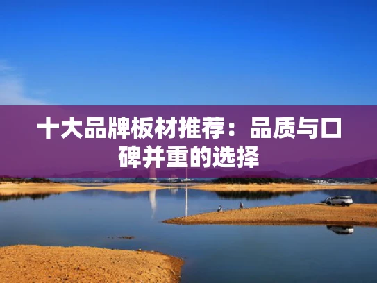 十大品牌板材推荐：品质与口碑并重的选择