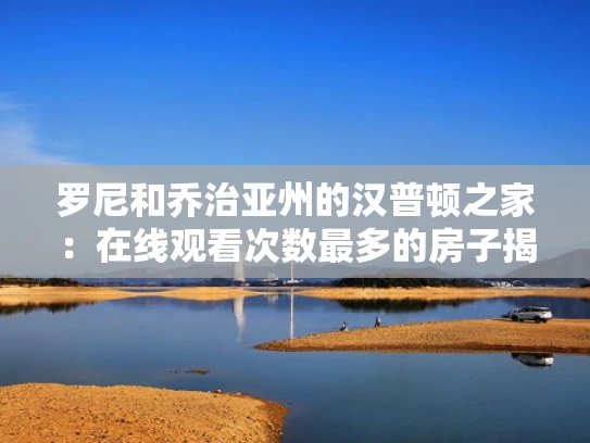 罗尼和乔治亚州的汉普顿之家：在线观看次数最多的房子揭秘