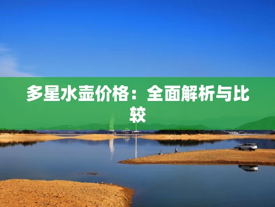 多星水壶价格：全面解析与比较