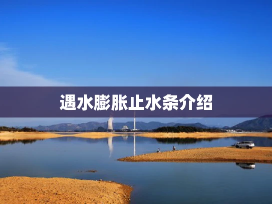 遇水膨胀止水条介绍