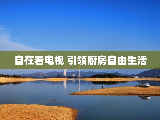 自在看电视 引领厨房自由生活