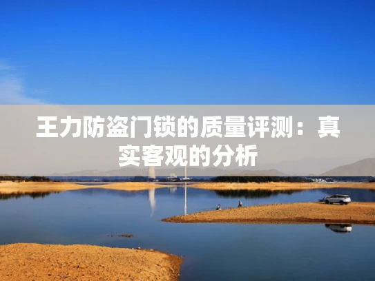 王力防盗门锁的质量评测：真实客观的分析