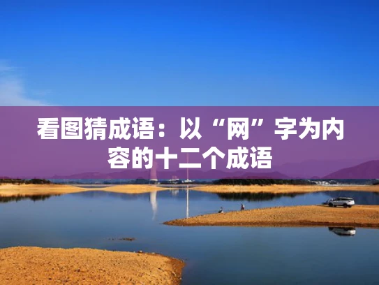 看图猜成语：以“网”字为内容的十二个成语