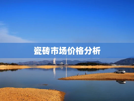瓷砖市场价格分析