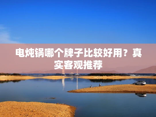 电炖锅哪个牌子比较好用？真实客观推荐
