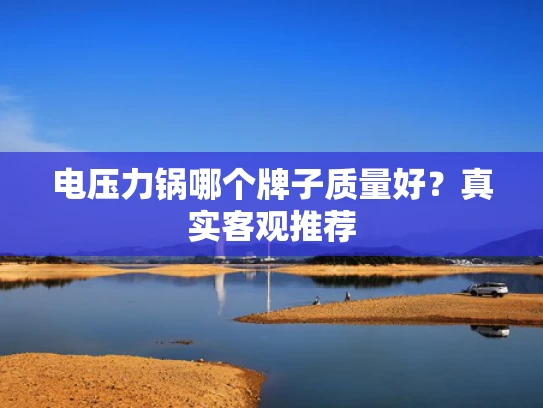 电压力锅哪个牌子质量好？真实客观推荐