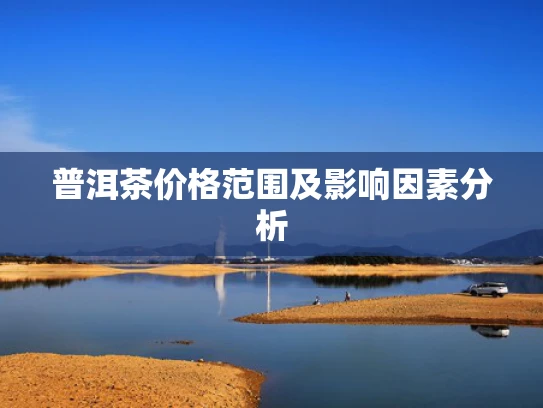 普洱茶价格范围及影响因素分析