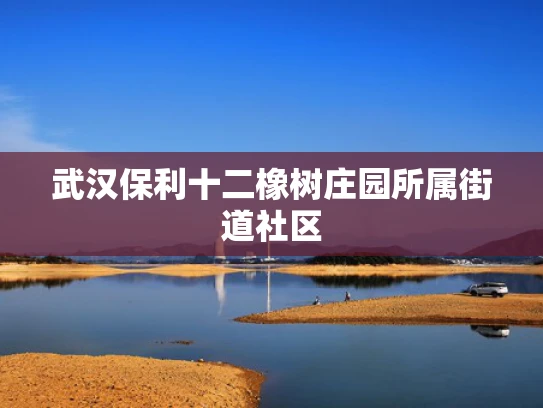武汉保利十二橡树庄园所属街道社区