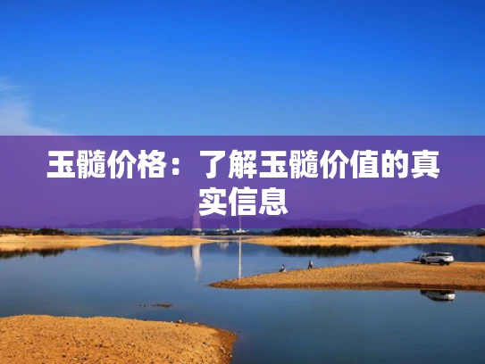玉髓价格：了解玉髓价值的真实信息