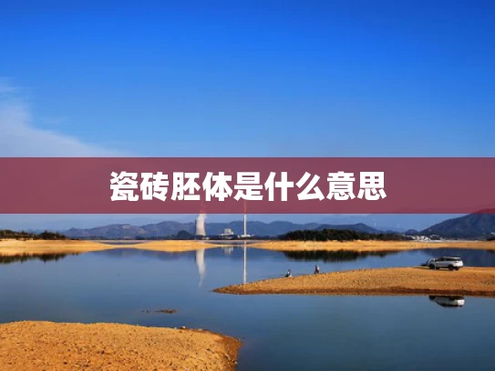 瓷砖胚体是什么意思