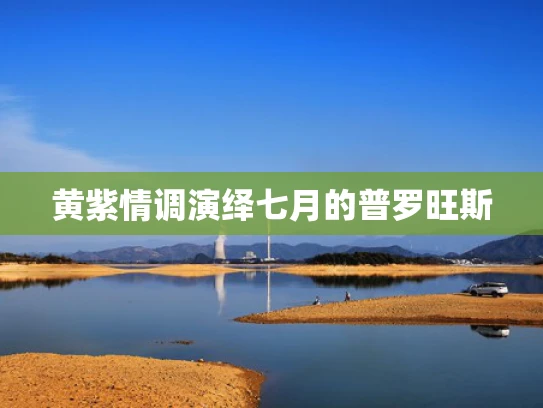 黄紫情调演绎七月的普罗旺斯