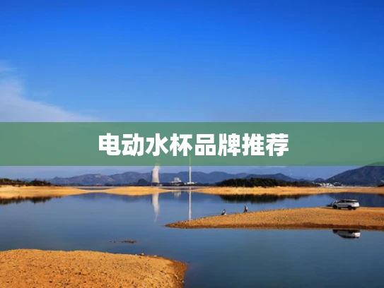 电动水杯品牌推荐