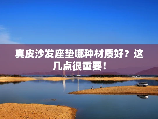 真皮沙发座垫哪种材质好？这几点很重要！