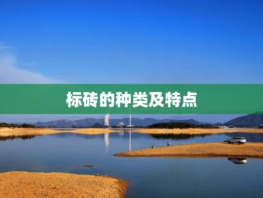 标砖的种类及特点