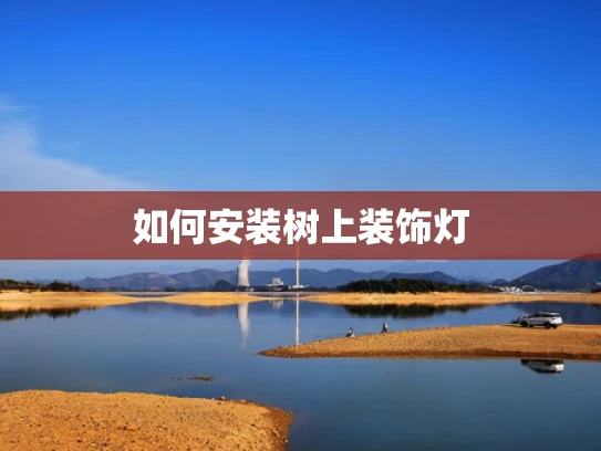 如何安装树上装饰灯