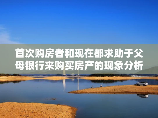 首次购房者和现在都求助于父母银行来购买房产的现象分析