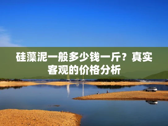 硅藻泥一般多少钱一斤？真实客观的价格分析